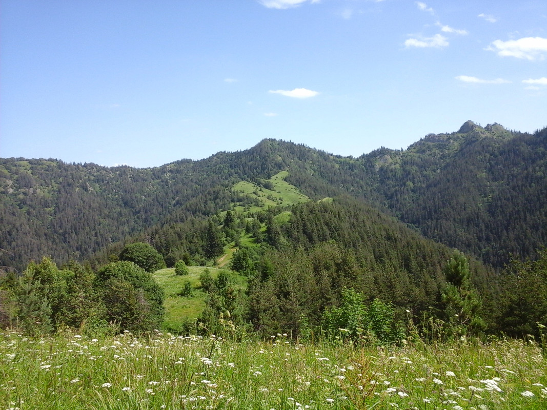 ყერძენი2