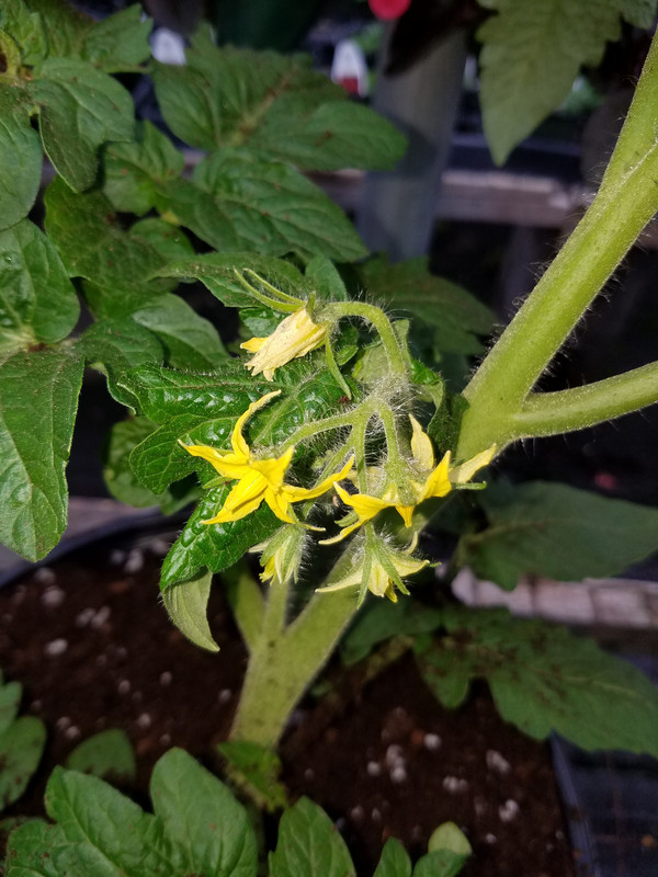 20180425_093750