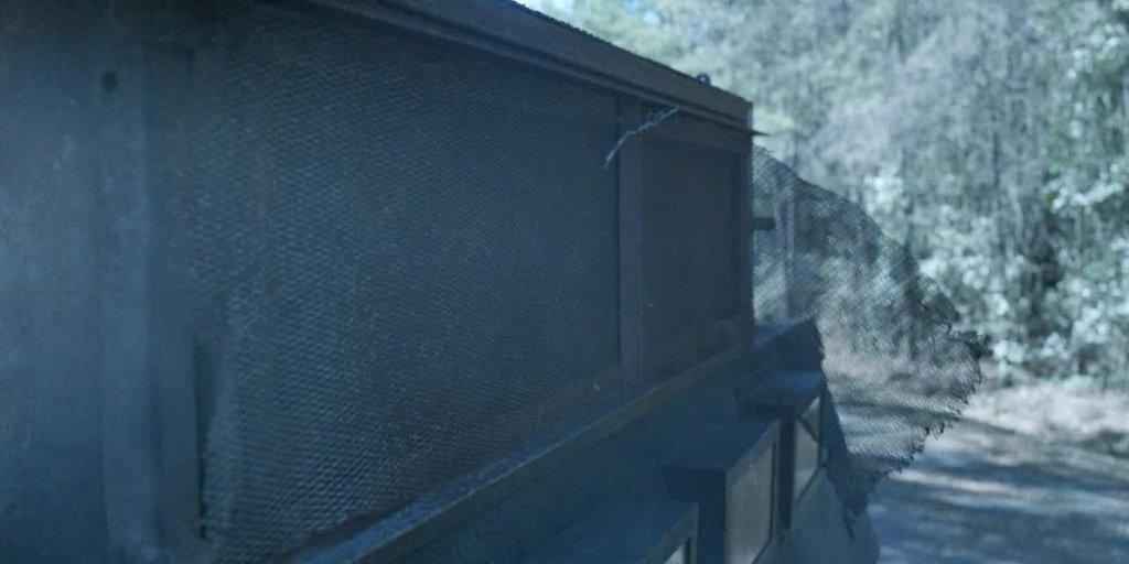 [Image: r4jg4sg6dc0s.jpg]