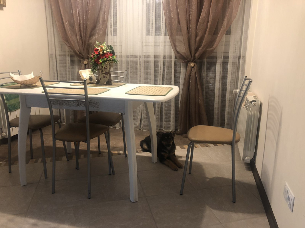 изображение_viber_2021-02-01_20-51-58