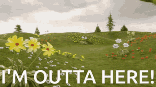 teletubbies-dipsy.gif
