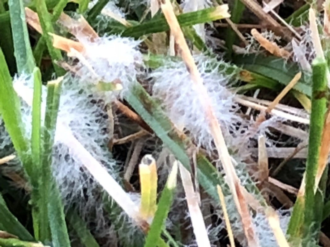 7120EE78-B3D6-4C13-8129-F6314AFA51D7