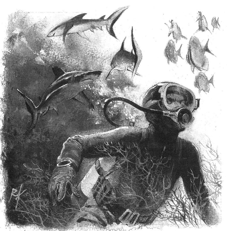 52 Le lagon aux requins (5)