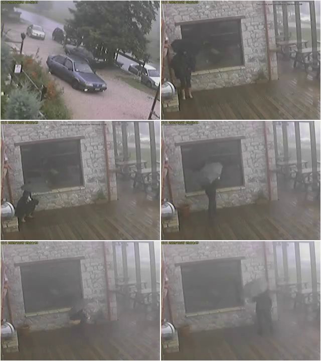 [Image: Rain-pee-3.jpg]