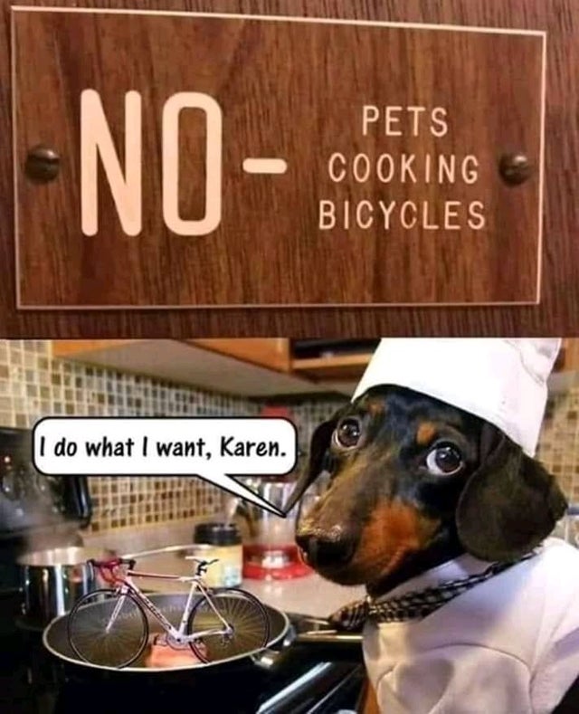 pjWsPrbpoIVu6-XDLJ3kVh7tlfsMgXJdDNCJF5OHxYY