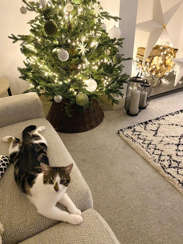 CF1D0AA0-6C50-48F3-AC25-F22E5726576C