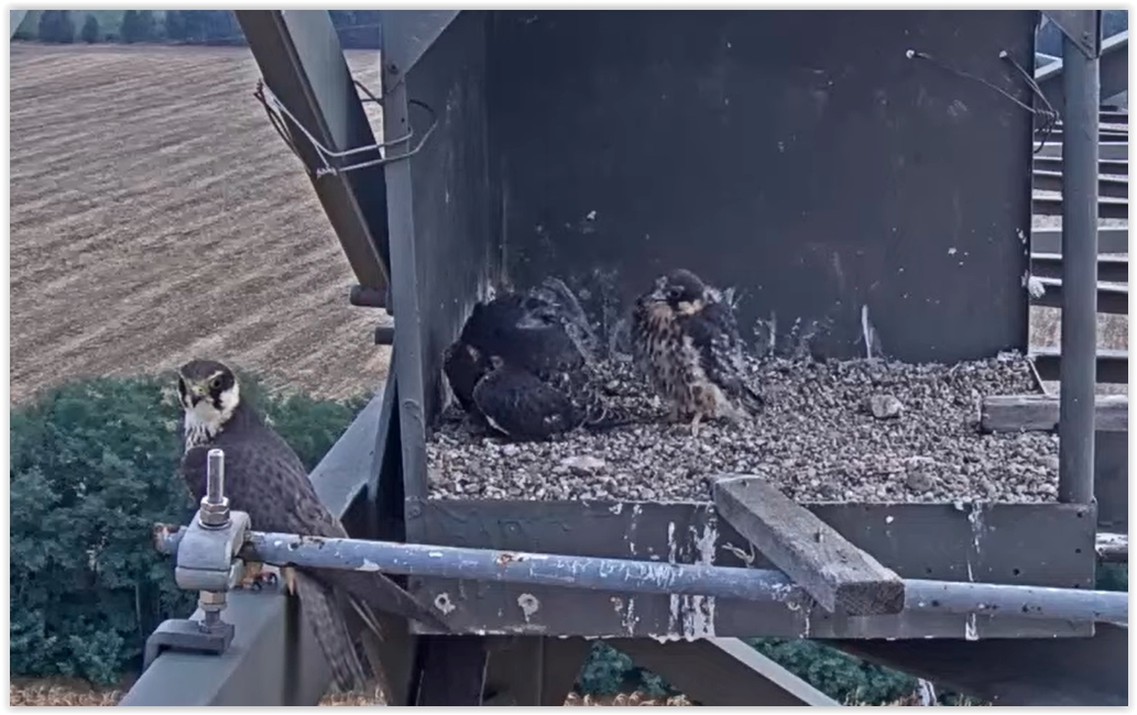 Screen Shot 08-09-22 at 08.42 AM 002