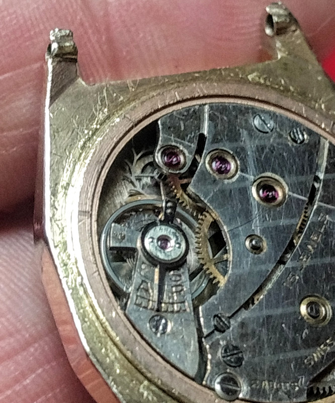 IMG_20200119_172459784~2