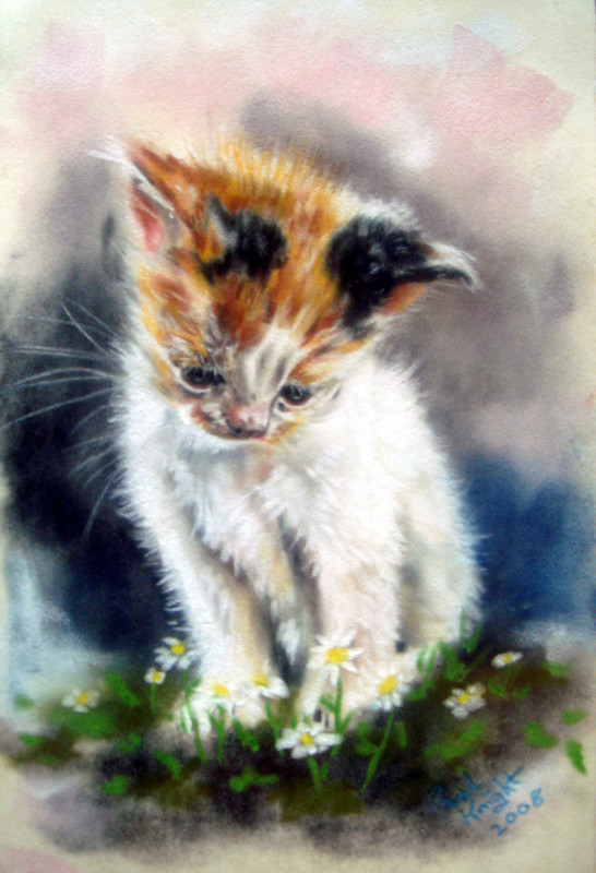 The-Daisy-Field-by-astarvinartist