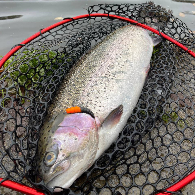 big trout fishing lures Dynamic HD Lure and large lakes to non Big Game Minnow Jointed Trout