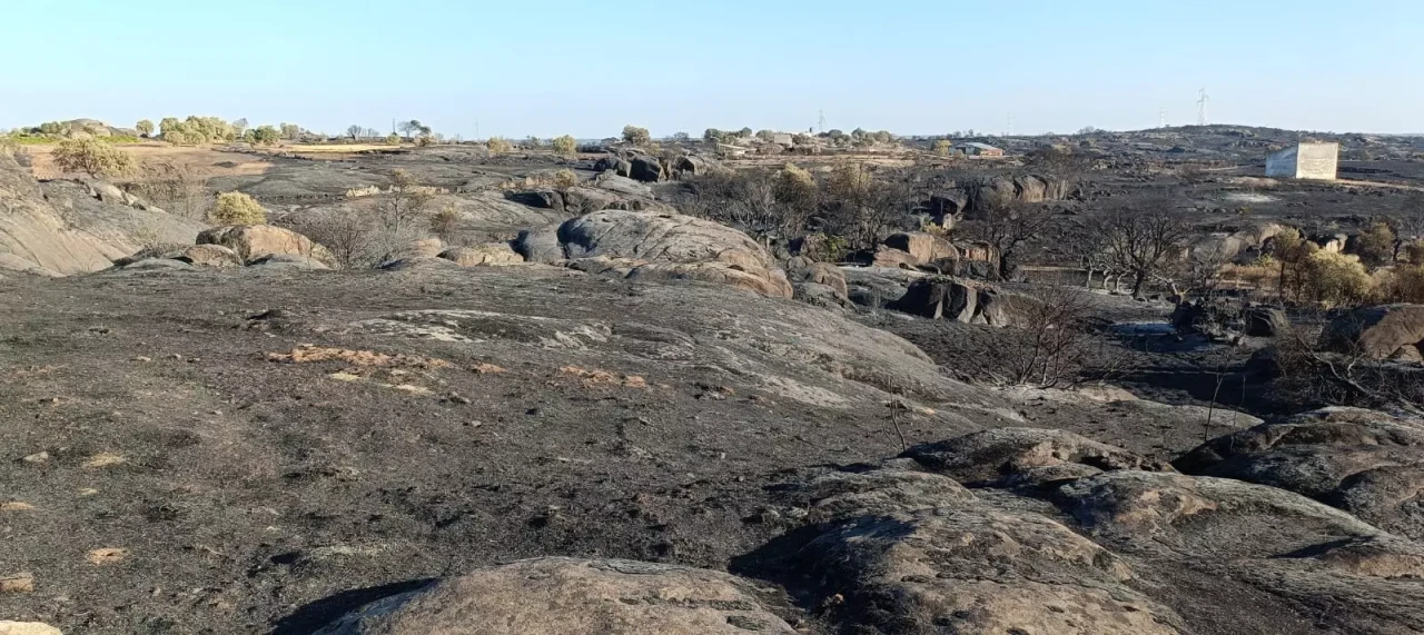 fermoselle incendio