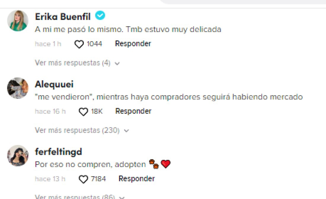 Exponen venta de perros pintados, lo hacen para venderlos más caros