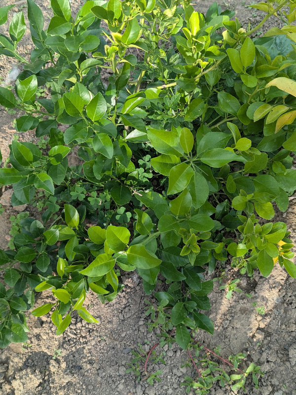 PXL_20250831_214305585