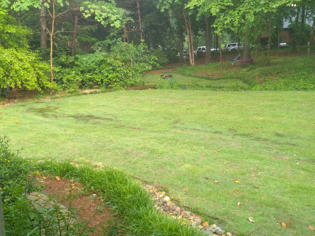 TTTF and weeds to Chisholm Zoysia Lawn Care Forum