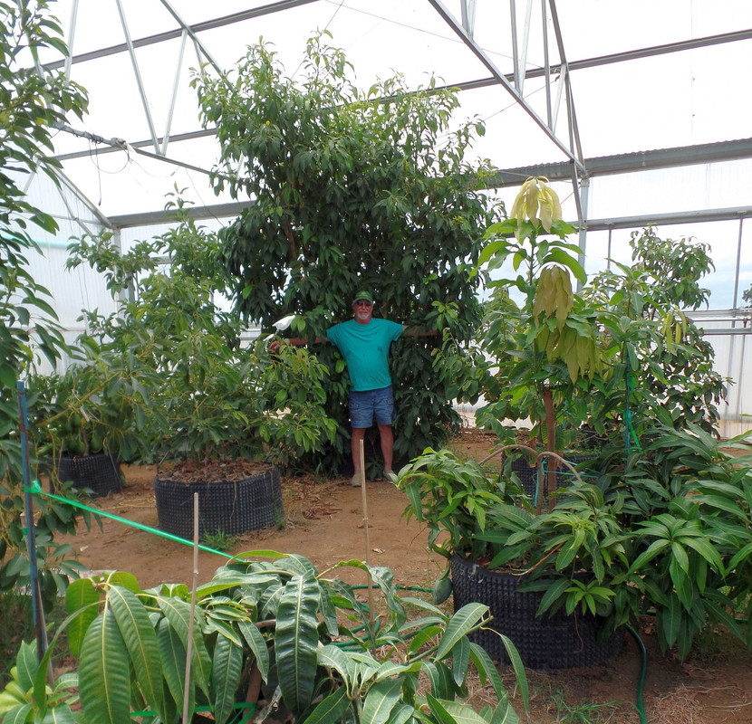 GreenhouseTreesJuly25#2