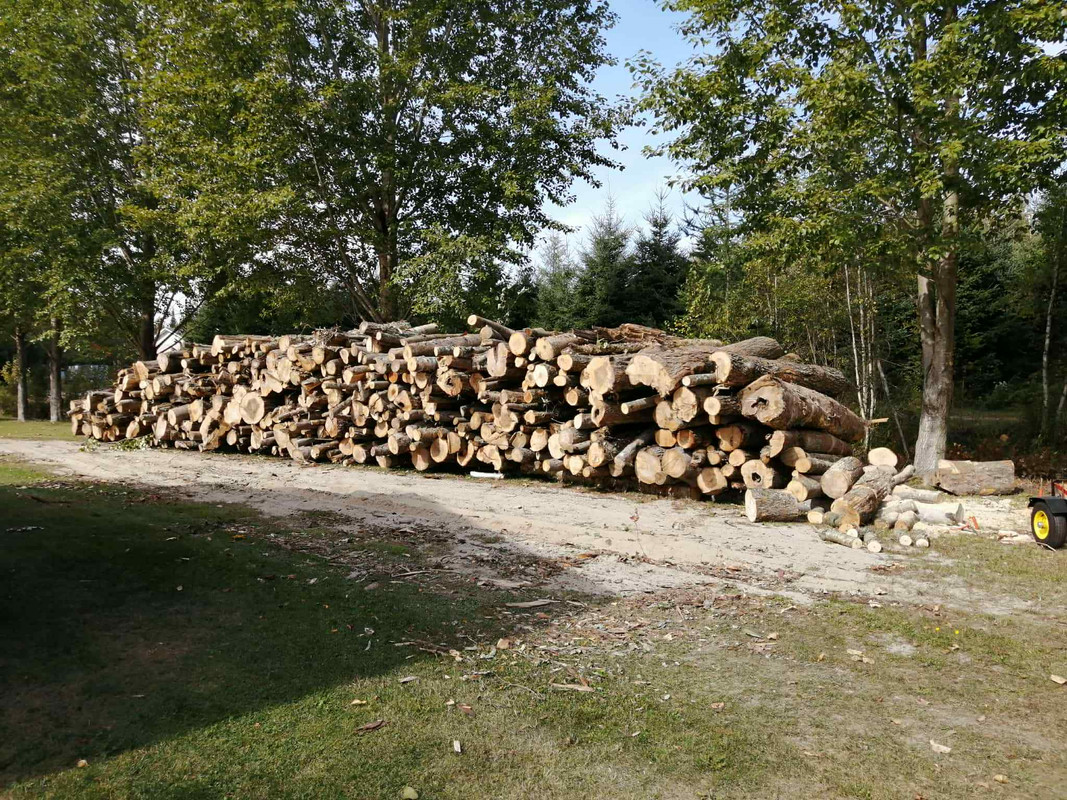 b77fd898 6346 4dff ab75 009f15b3cab5