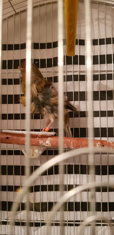 ٢?١٨١١١٦_?٧٥٩١?