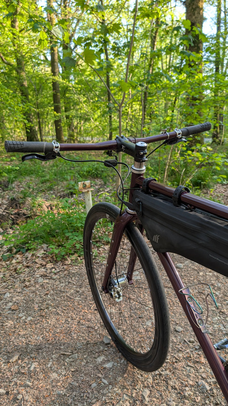 PXL_20250429_172603943.MP