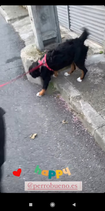 Screenshot_2021-03-15-12-38-08-599_com.instagram.android