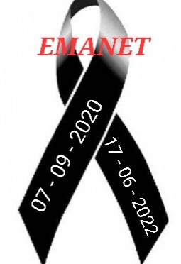 662x372a_111131589310_1_orig.weblazo