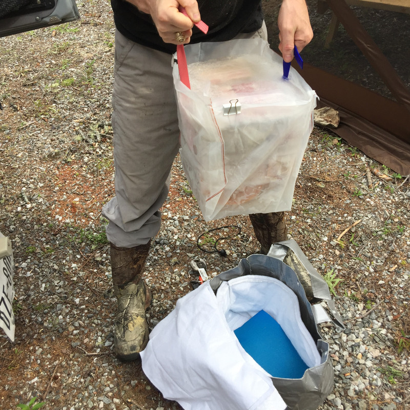 B4821F9E-D9CA-493B-ACFC-1FA30D9EE0BA