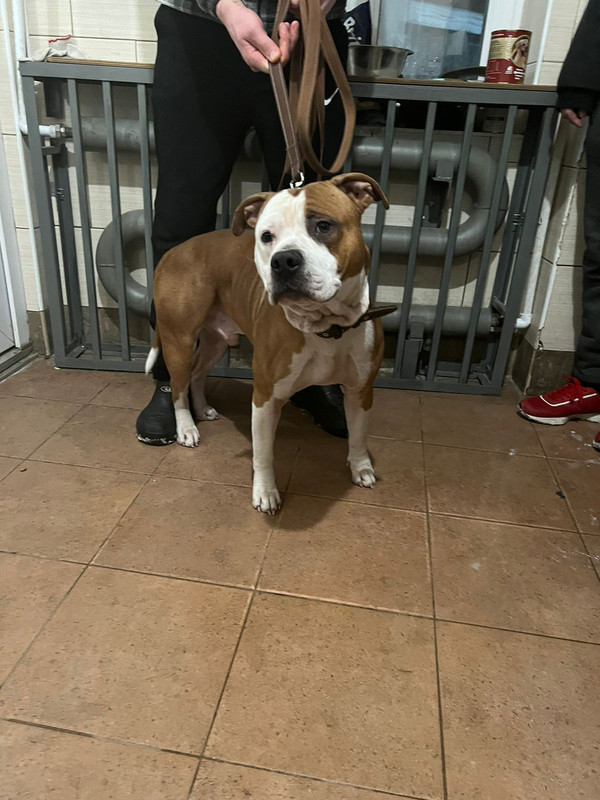 WhatsApp Image 2024-01-20 at 22.14.43 (1)