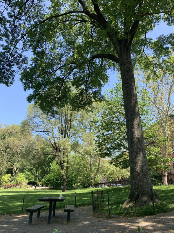 5E81CCB3-7B4C-4028-A2B1-30443E614C0A