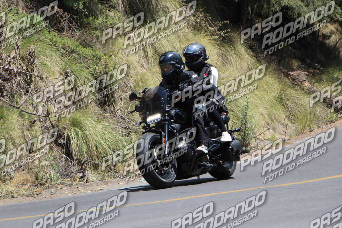 IMG 8602 wm 5741555 799999999 watermarked — Postimages