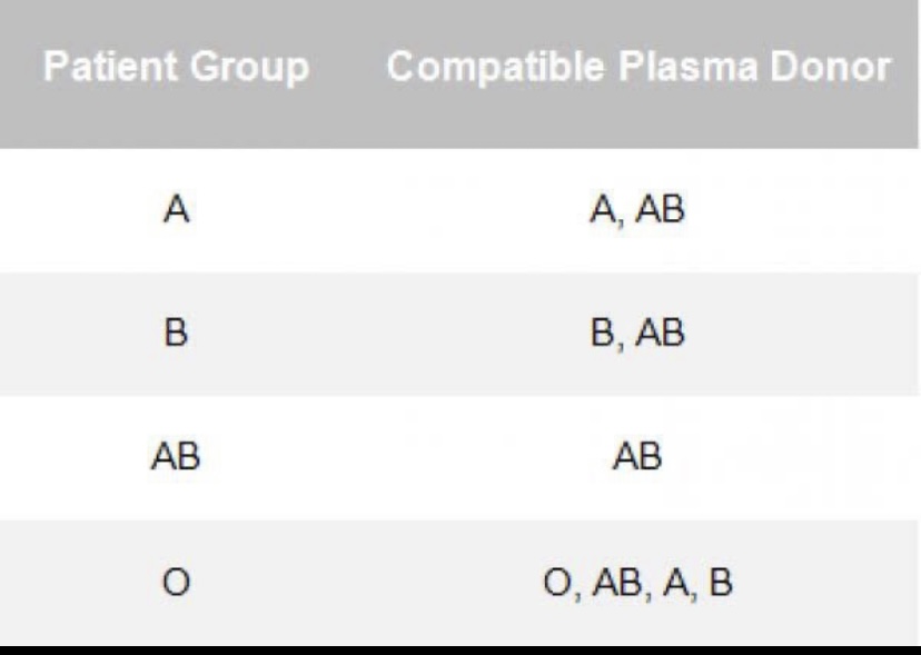 A3729-DF7-FFB9-4-B73-B3-FE-D74-F0-A7-D62