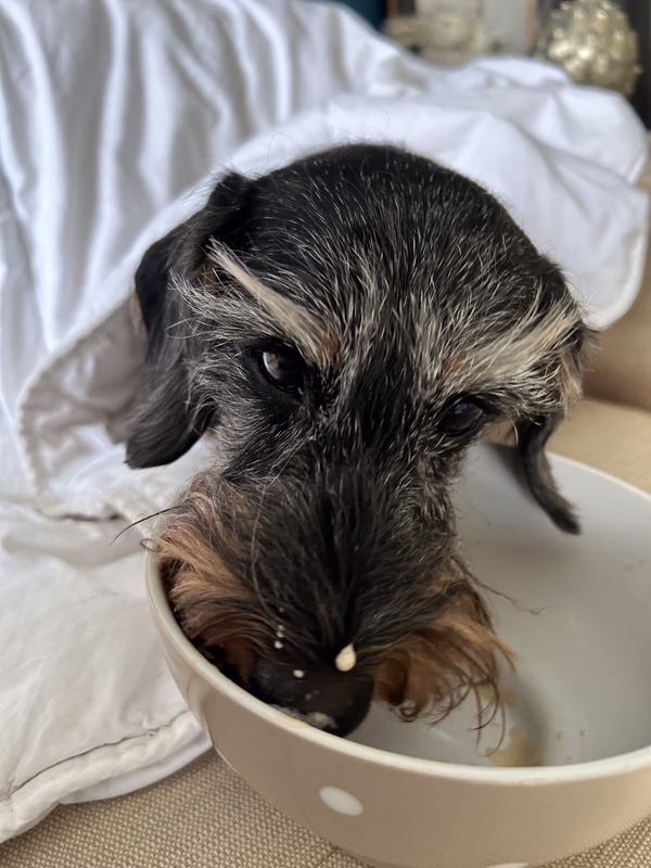 [Image: IMG-20251102-142347.avif]