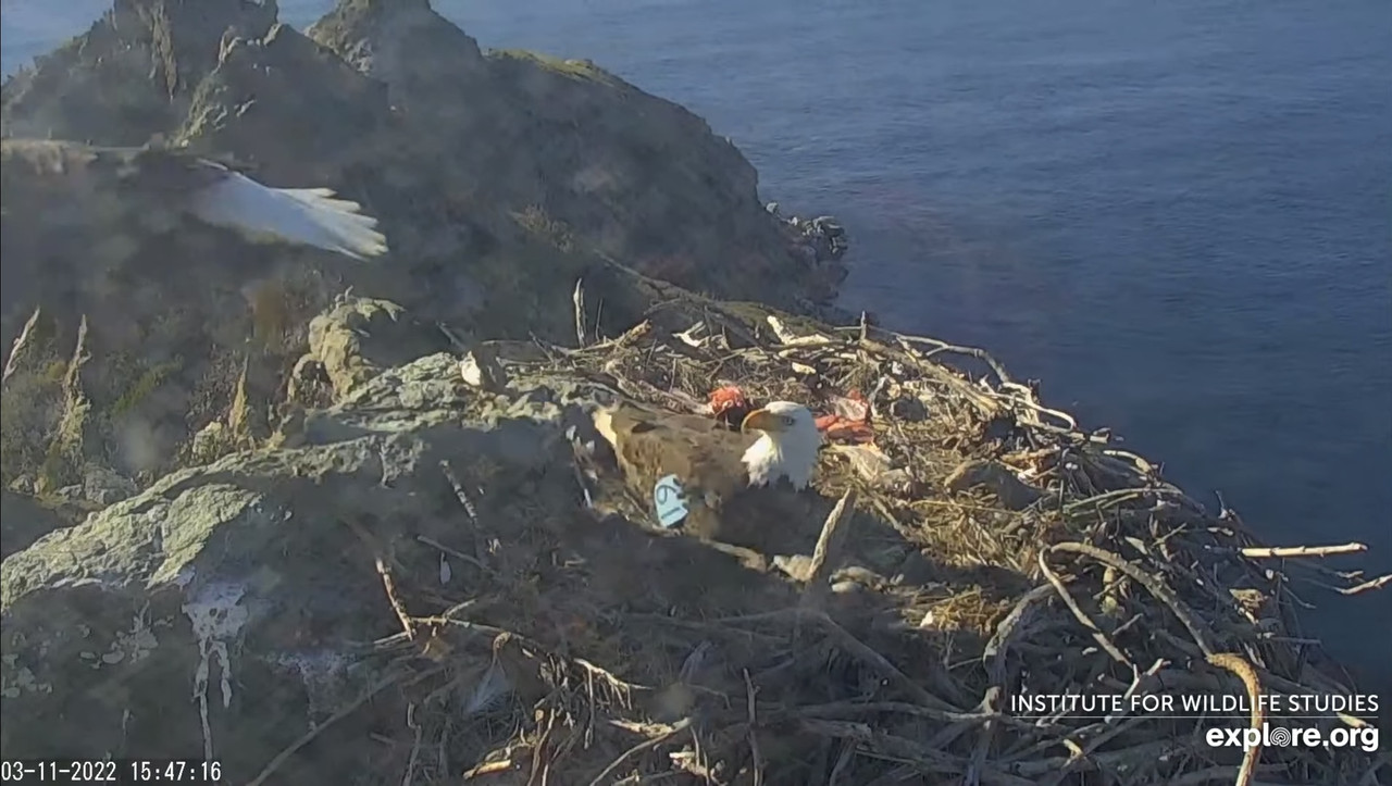 3B550968-0122-41BC-812A-76AD18D291AB