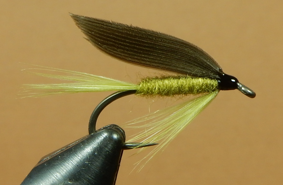 Olive-Dun-1080.jpg