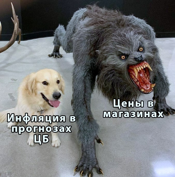 IMG_20220513_105356_286