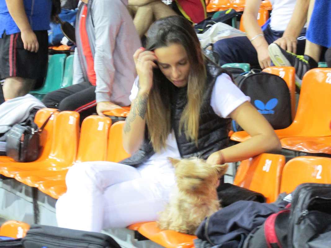 FOCSANI SEPT 2017 - Tur A  (48)