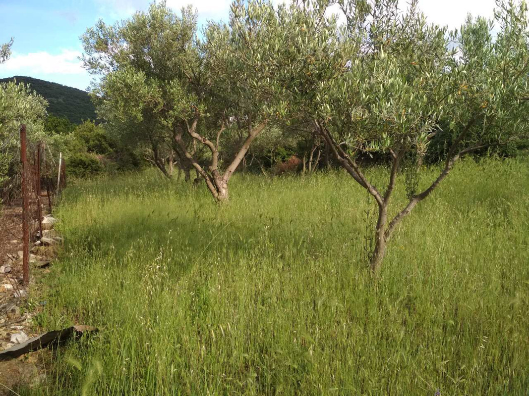 87B378C1-8A14-4197-A7BC-CA89DF99B735