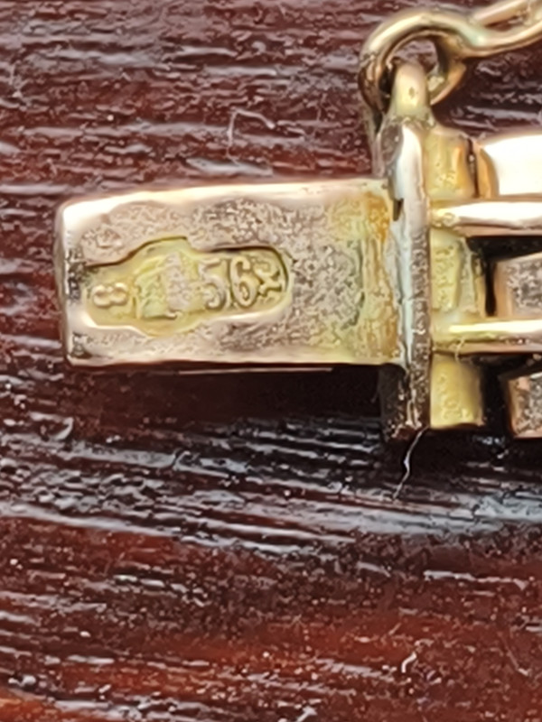 IMG 20260112 134121