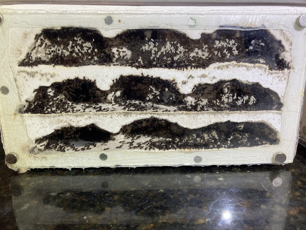 C883B3C5-C869-43DD-A4E2-9F3E9B5A8C0C