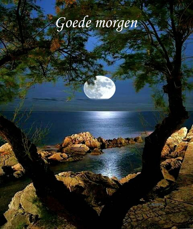 goede-morgen.jpg