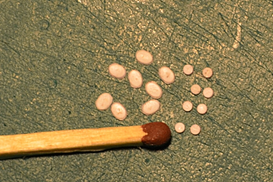 детализация 005