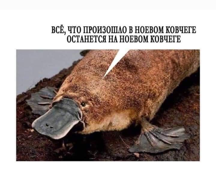 [Изображение: 15ef8bbf9c7483fde533b7feb96e7d28.jpg]