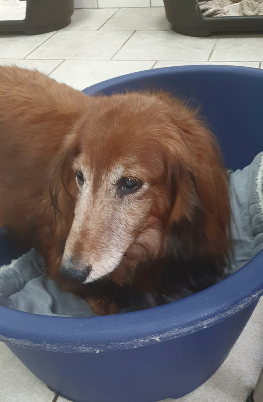 [Image: 20221030-110155.jpg]