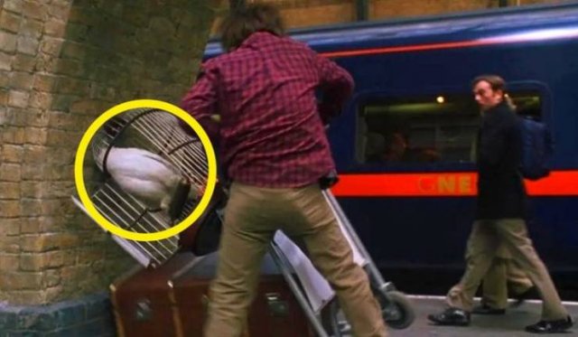 Harry-Potter-12