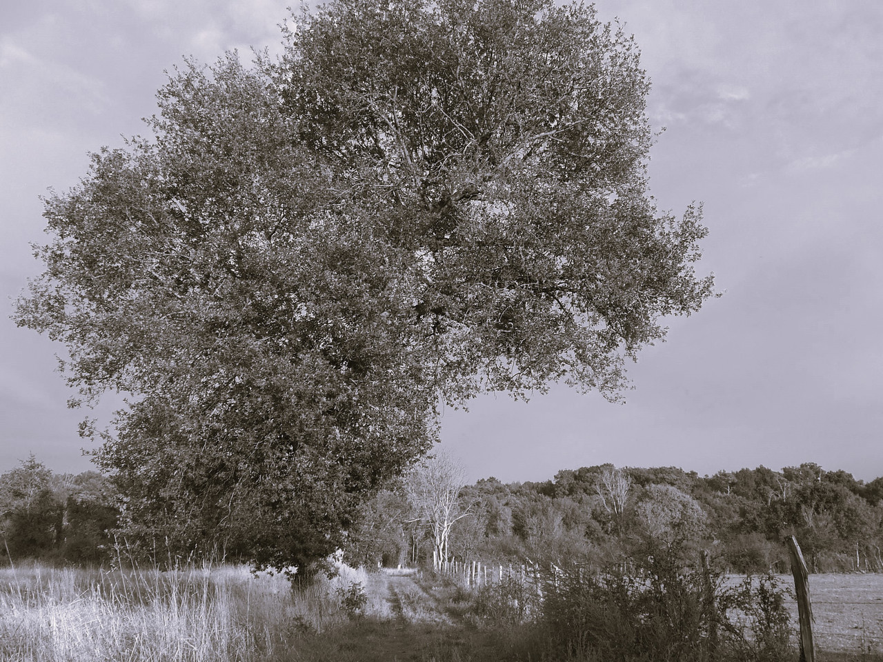 DSCF0999.jpg