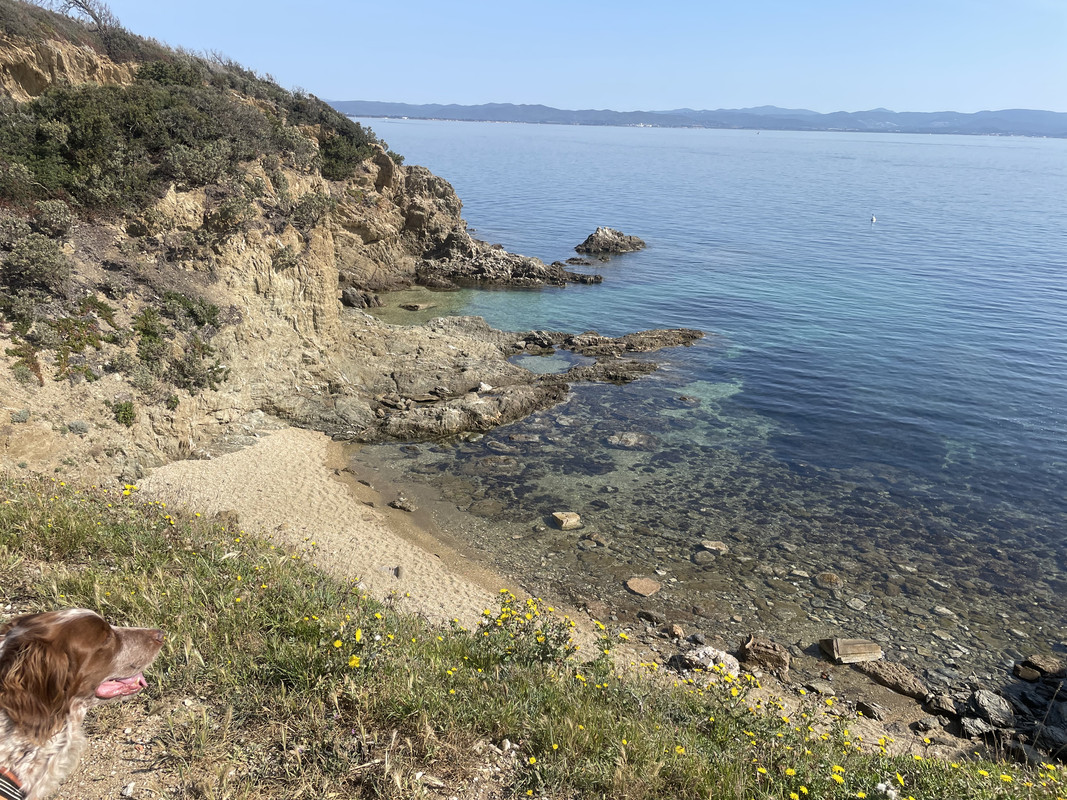 D41A2340-CDA1-4275-8D8D-3610FB7B368E