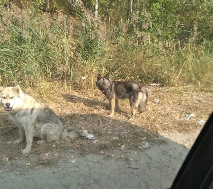 WhatsApp Image 2022-09-03 at 15.02.58 (1)