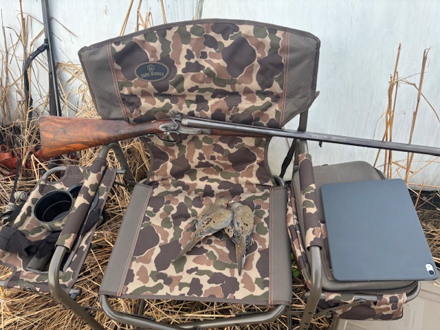 [Linked Image from i.postimg.cc]