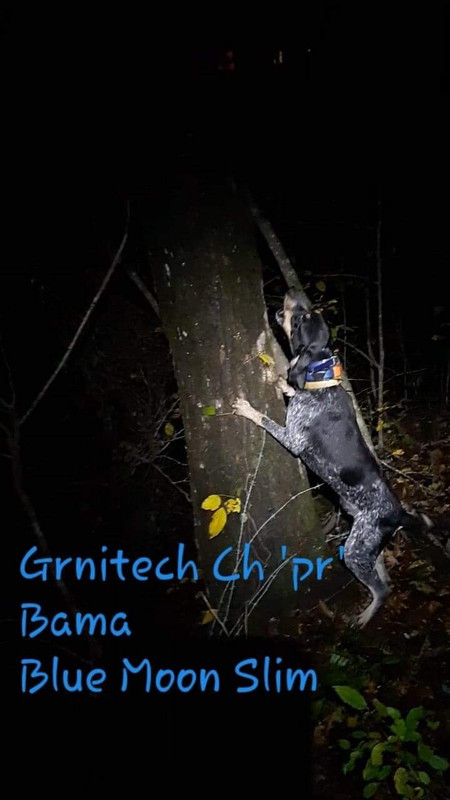 C4A79B60-AA6F-4C14-81CE-ACC1AF333A9C