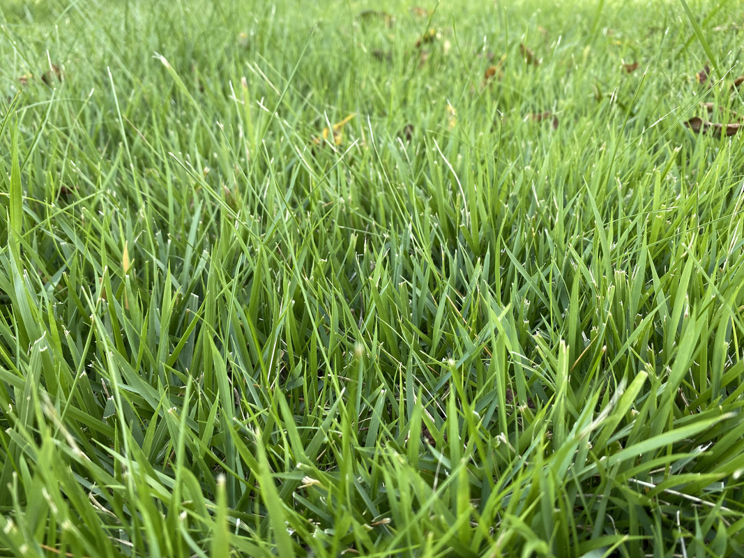 59574194-F262-4EE9-9875-63CF0E709035