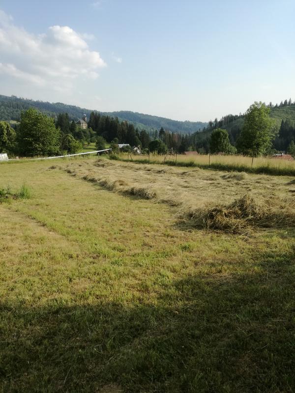 IMG_20180619_181148_1[1]