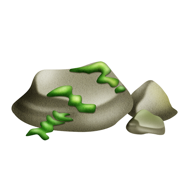 KBK_AdventureIsland (112)